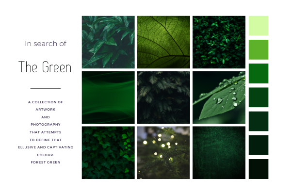 a mood board for the color forest green with a grid of pictures of foliage and a colour palette